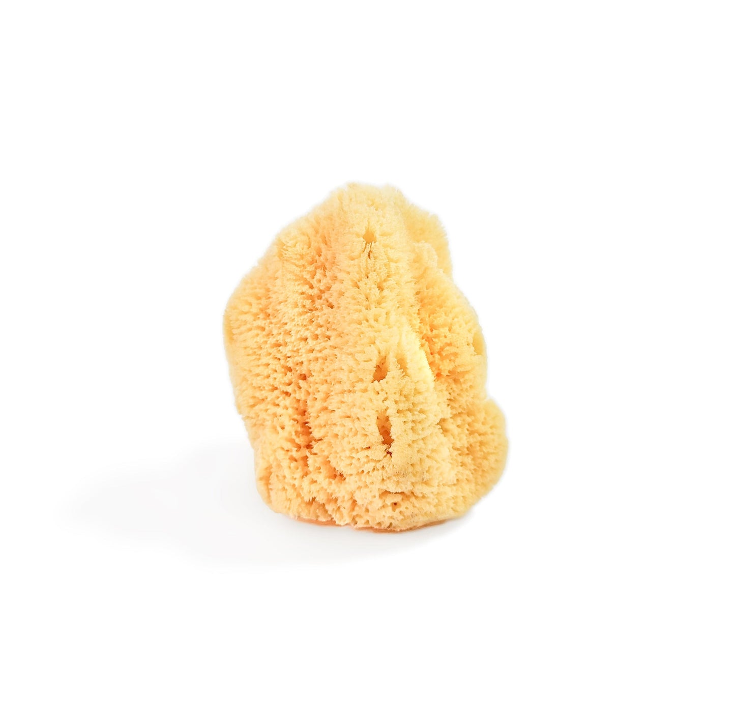 Sea Sponge-Baby Size