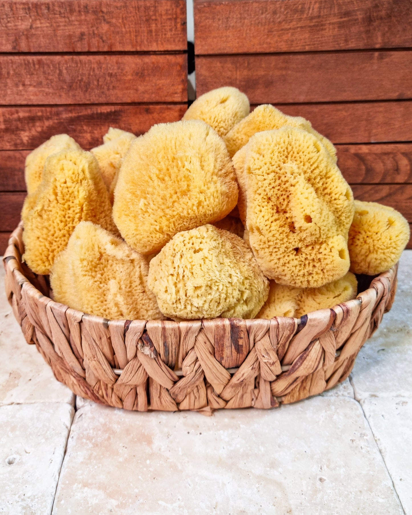 Sea Sponge-Baby Size